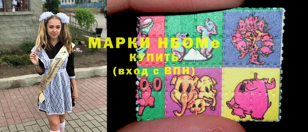индика Рославль