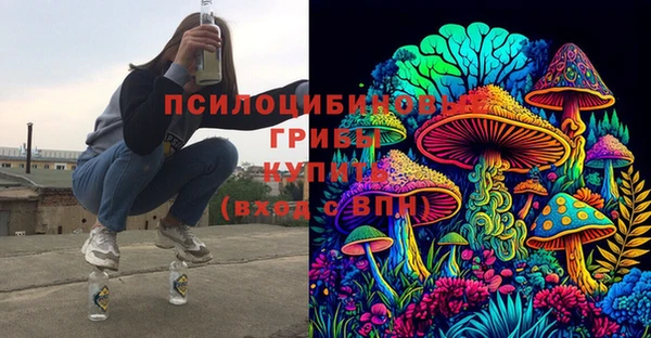индика Рославль