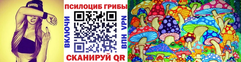 Галлюциногенные грибы Psilocybe  купить наркоту  Беломорск 