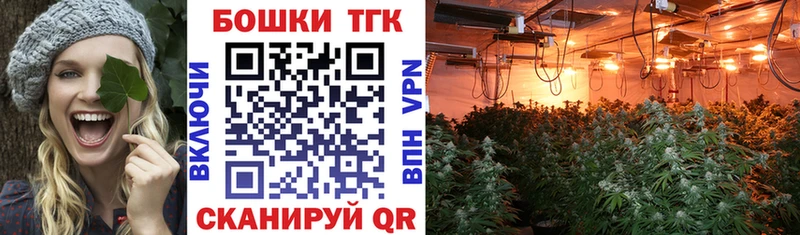 Бошки марихуана THC 21% MEGA ТОР Беломорск сколько стоит